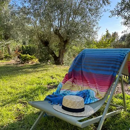 Refugio Da Cigarra منتزه العطل