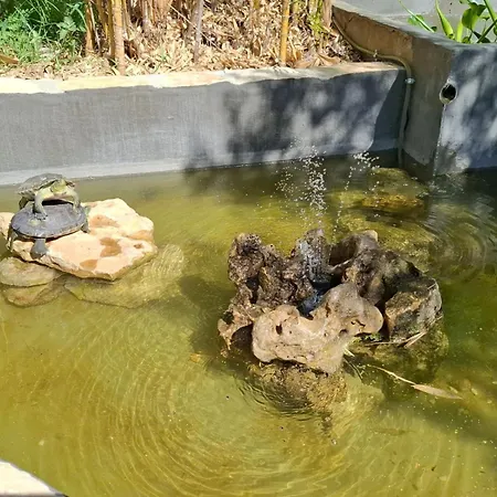 منتزه العطل Refugio Da Cigarra