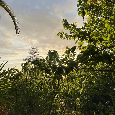 Refugio Da Cigarra * تومار
