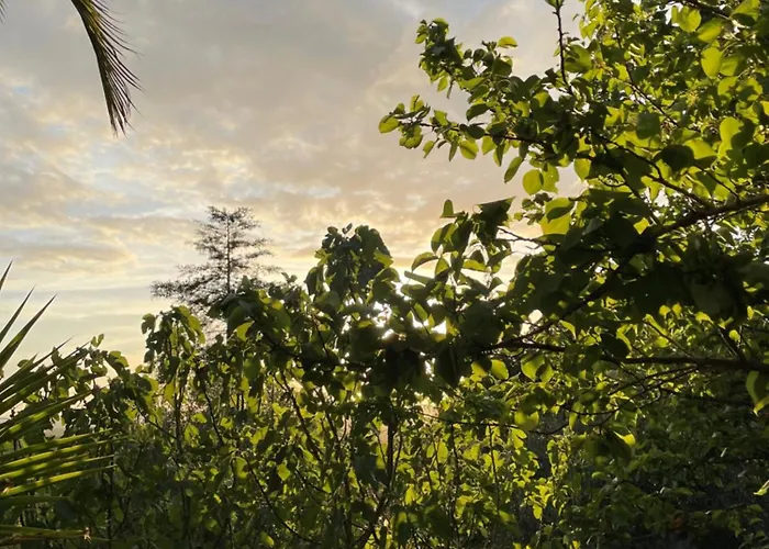 Refugio Da Cigarra * Tomar